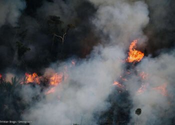 Fire Monitoring in the Amazon in Brazil in July, 2022Monitoramento de Desmatamento e Queimadas na Amazônia em 2022