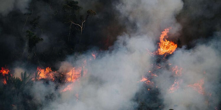 Fire Monitoring in the Amazon in Brazil in July, 2022Monitoramento de Desmatamento e Queimadas na Amazônia em 2022