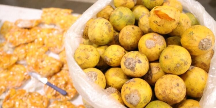 tucuma-feira-shopping