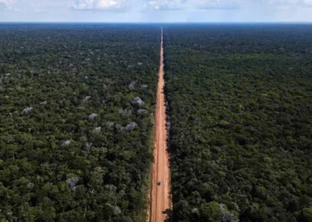 Grupo de Trabalho da BR-319 é favorável ao asfaltamento da rodovia