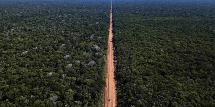 Grupo de Trabalho da BR-319 é favorável ao asfaltamento da rodovia