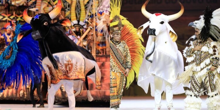 Caprichoso-e-Garantido