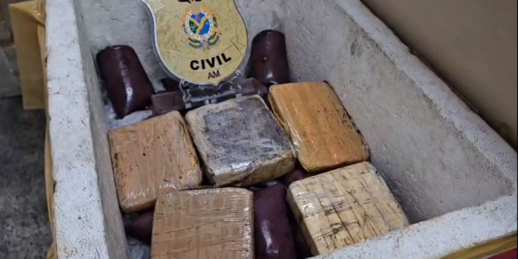Drogas apreendida encontrada em encomenda de açaí no Porto do são Raimundo