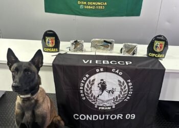 Drogas avaliadas em R$ 270 mil são apreendidas em Barcelos, no Amazonas