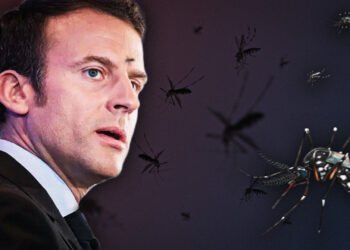 Emmanuel Macron visitará o Brasil - (Arte: João Dejacy)