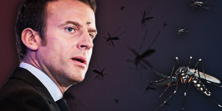 Emmanuel Macron visitará o Brasil - (Arte: João Dejacy)