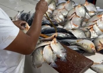 Feirantes intensificam venda de peixes durante a Quaresma - (Foto: Reprodução).