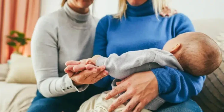 Este julgamento colocou em destaque as políticas de inclusão e direitos das famílias homoafetivas