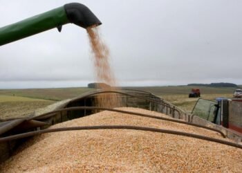 BNDES financia construção de fábrica de etanol e farelo