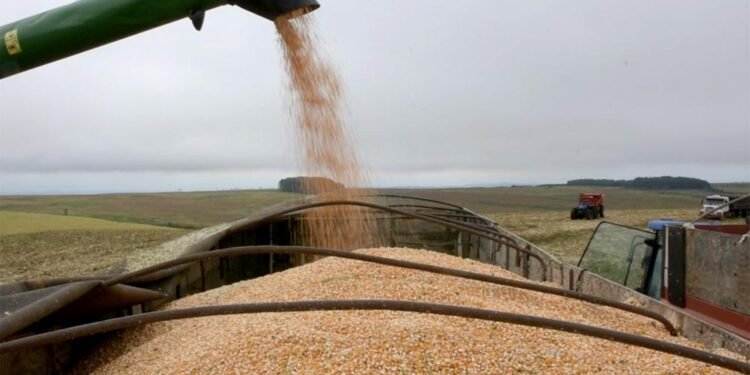 BNDES financia construção de fábrica de etanol e farelo