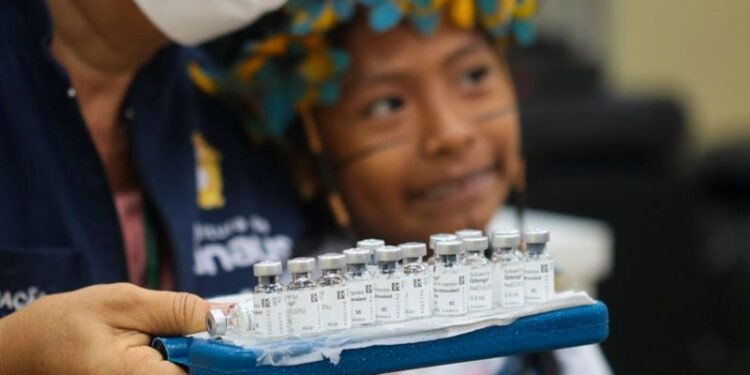 Vacinação contra a dengue