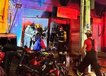 incendio-miranda-leao