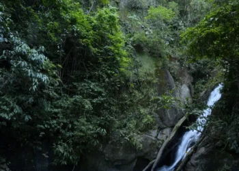 Parque Nacional - (Foto: Tomaz Silva)