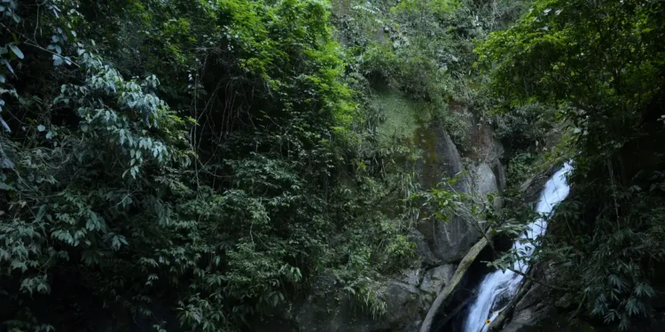 Parque Nacional - (Foto: Tomaz Silva)