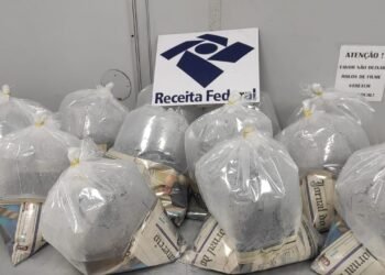 Doze arraias são apreendidas no aeroporto de Manaus - (Divulgação/RF).