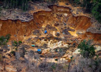 Canteiro de garimpo ilegal na região do Rio Uraricoera - (DIVULGAÇÃO).