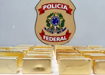 PF diz que é essa a maior apreensão da história do Amazonas - (Divulgação/PF-AM).