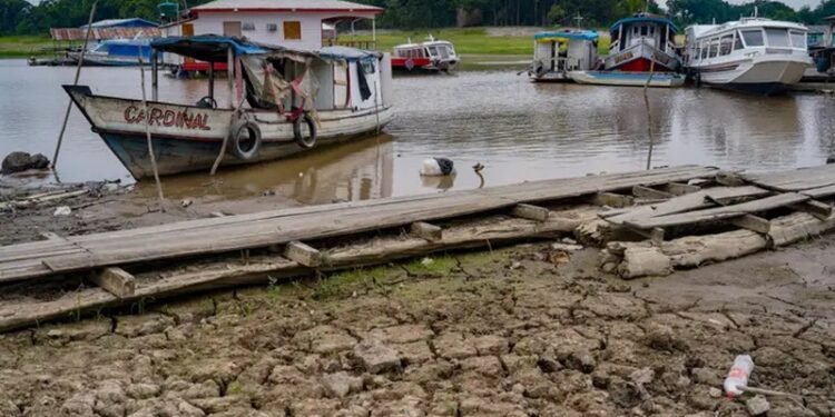 Os desafios e estratégias no enfrentamento da estiagem 2024