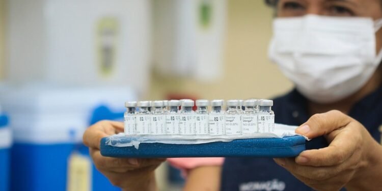 Vacinas em Manaus - (Foto: Divulgação/ Semcom)