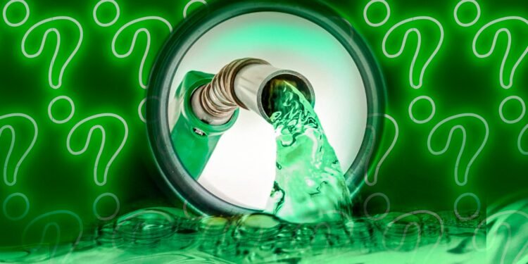 A produção do etanol depende da cana-de-açúcar e do milho - (Arte: Abraão Torres)