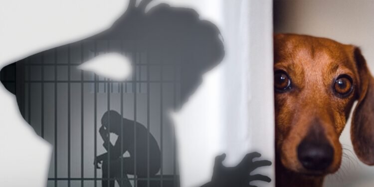 A prática de zoofilia merece tipificação específica - (Arte: Abraão Torres/ Rios de Notícias)