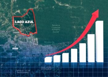 Crescimento do bairro Lago Azul, em Manaus - (Arte: Markus Santos/Rios de Notícias)