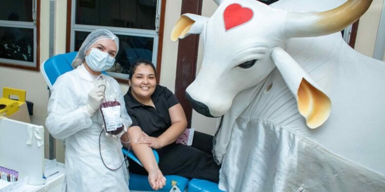 Durante a ação também foram distribuídas lembranças, como camisas e artesanatos para os pacientes- (Foto: Rafael Marques/Hemoam)