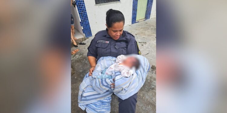 bebê encontrado em caixa de papelão