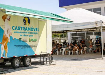 castromovel-manaus