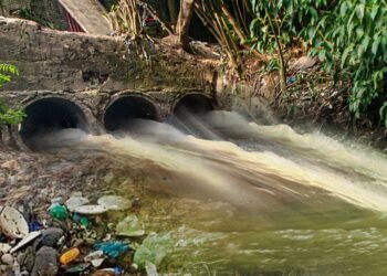 Arte: Abraão Torres