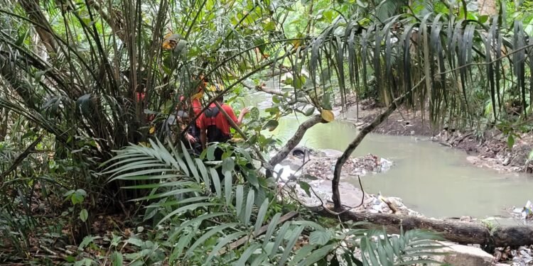 O corpo foi encontrado no igarapé- (Foto: Divulgação)