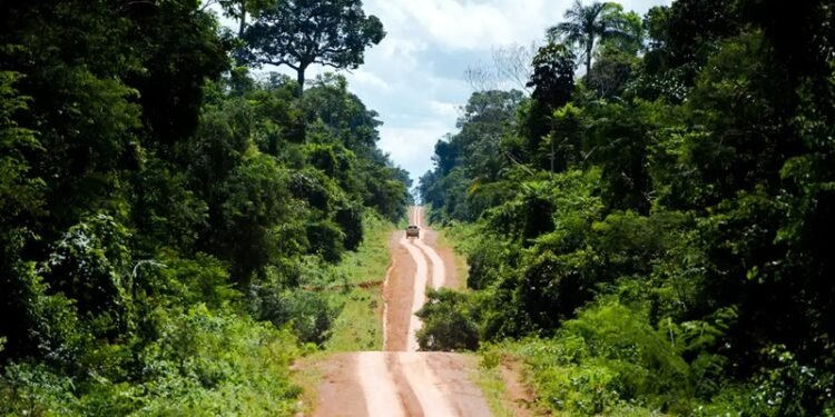 degradação afeta área três vezes maior que desmatamento