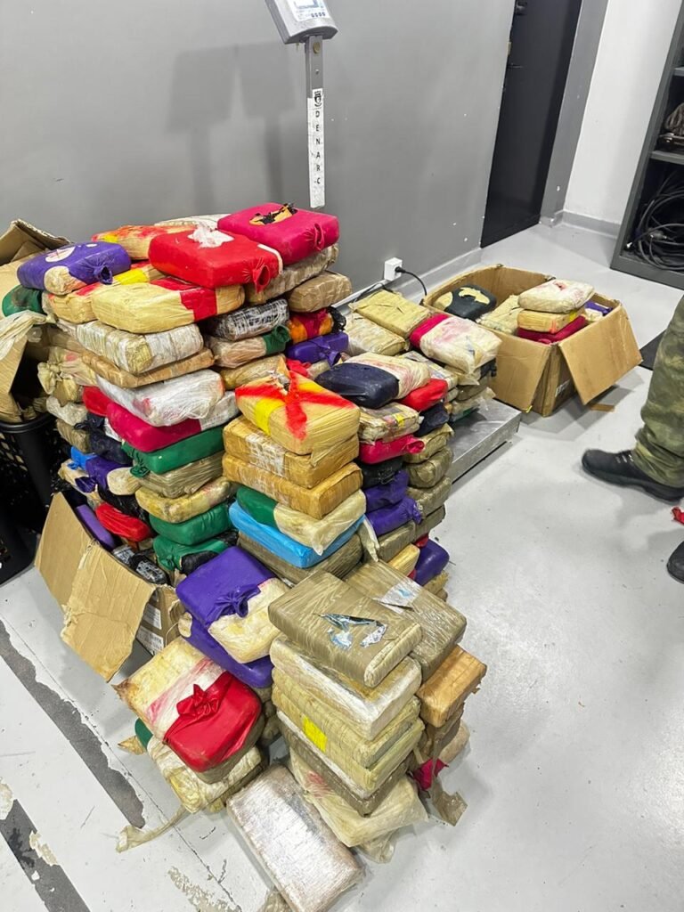 Drogas apreendidas - (Foto: Divulgação/ PC-AM)