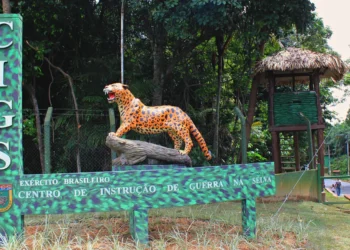 Fachada do Cigs - (Reprodução)