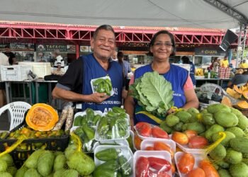 Feirantes - (Foto: Divulgação/ ADS)