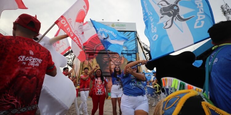 festa-cunha