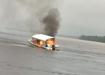 Lancha da Funai - (Foto: Reprodução/ Internet)