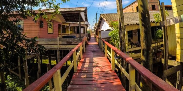 ‘Flota Mad Rio’: a percepção de doutorandos em Artes Visuais sobre o cotidiano amazônico