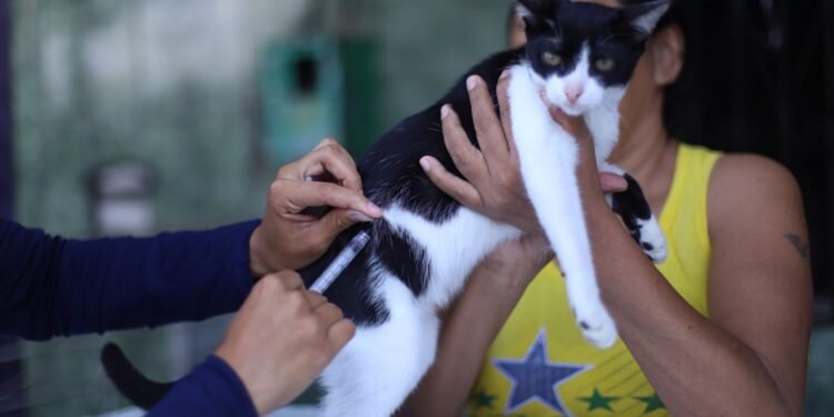 Na etapa fluvial de 2023, informa Reinaldo Lima, foram vacinados cerca de 800 animais domésticos - (Foto: Divulgação / Semsa)