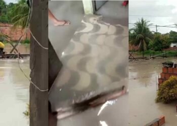 Moradores relatam alagamentos e pessoas ilhadas na zona Norte de Manaus (Reprodução)