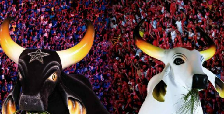 Festival de Parintins transmissão