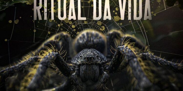 Lancamento-Boi-Caprichoso