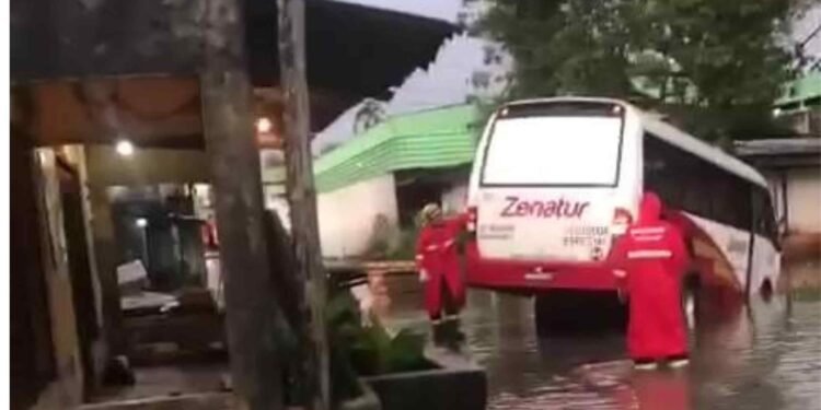 Rota do Distrito Industrial fica presa após cair em buraco - (Reprodução).