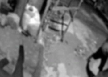 Homem é preso após matar o próprio cunhado na zona Leste (Divulgação/PC-AM)