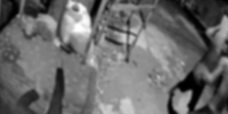 Homem é preso após matar o próprio cunhado na zona Leste (Divulgação/PC-AM)