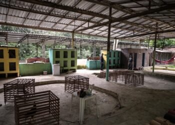 Rinheiros de galos são presos por maus-tratos aos animais