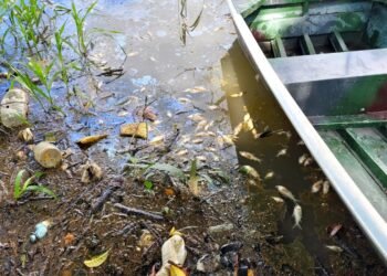 Lago do Puraquequara é poluído com lançamento de efluentes líquidos não tratados (Divulgação/PC-AM)