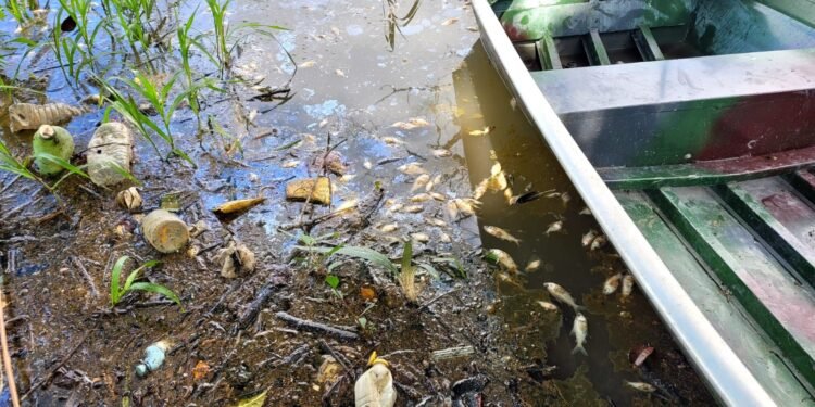 Lago do Puraquequara é poluído com lançamento de efluentes líquidos não tratados (Divulgação/PC-AM)