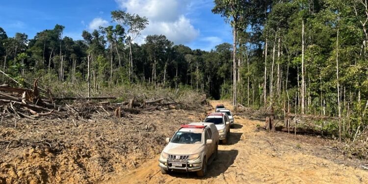 Policiais da operação 'Tamoiotatá 4' prendem homem no Sul do Amazonas