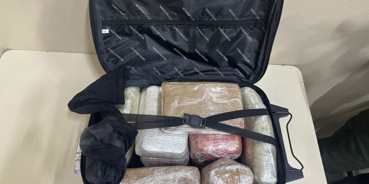 Drogas na mala - (Foto: Divulgação/ PC-AM)